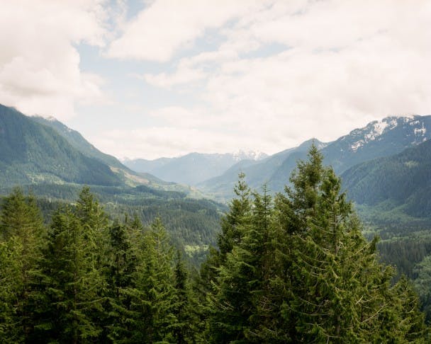 Filson_LookoutProject-01590006