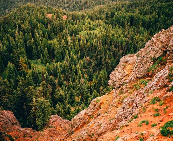 Filson_LookoutProject-02330015