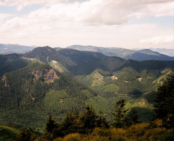 Filson_LookoutProject-07100006