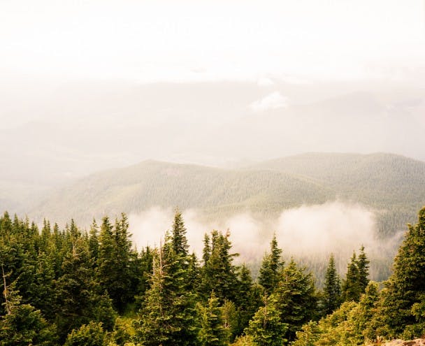 Filson_LookoutProject-07110015