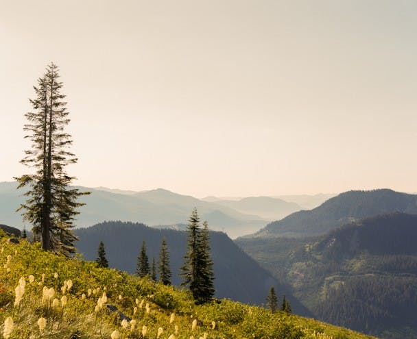 Filson_LookoutProject-09600001