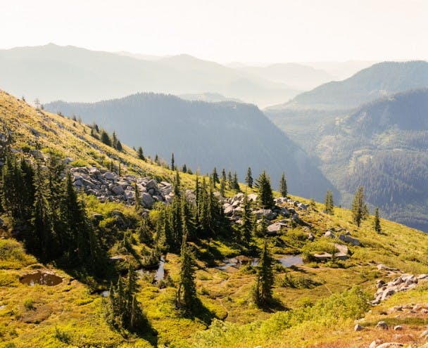 Filson_LookoutProject-09600002