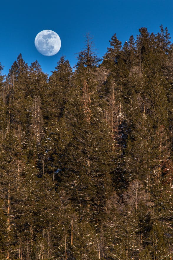 Nearly a Full Pink Moon. Rising over the White River National Forest: Summit County, Colorado. 