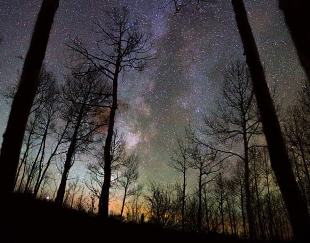 Great Rift of the Milky Way. White River National Forest.
