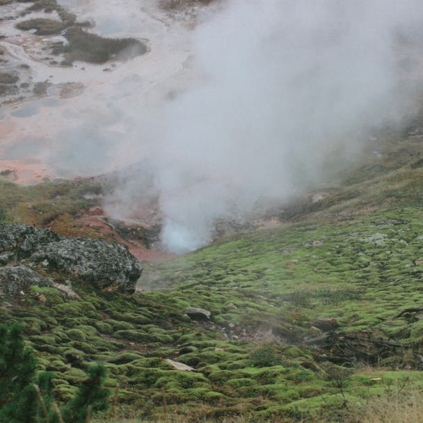 16geyser