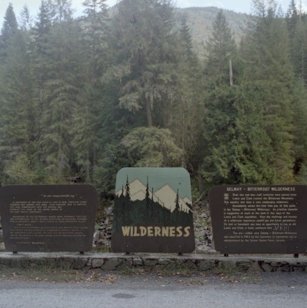 3wilderness