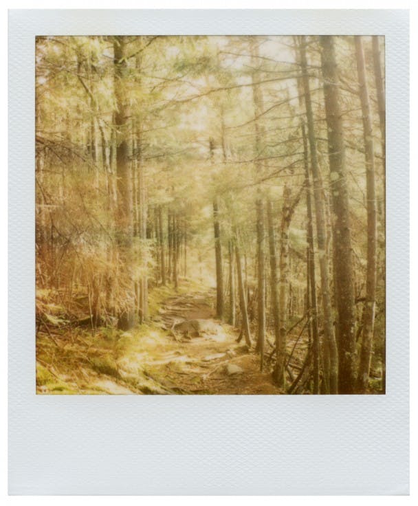 Vermont
