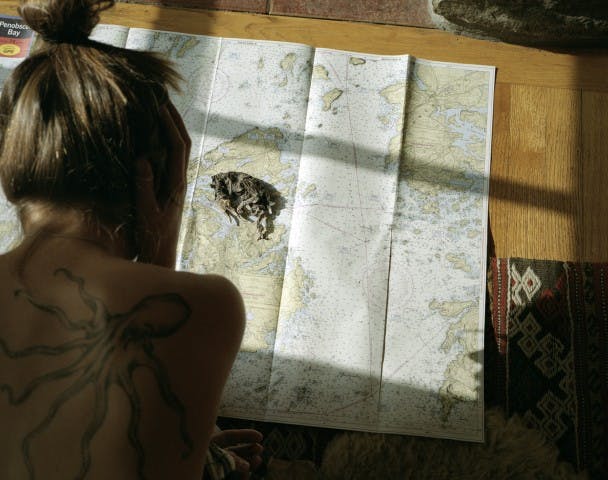 penobscot bay, imaginary islands, infant cormorant mummy
