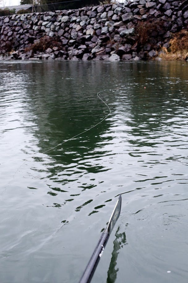 Snoqualmie-Steelhead-TravisGillett-23