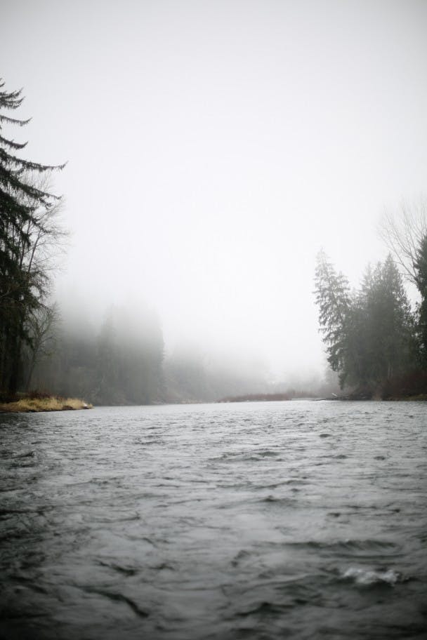 Snoqualmie-Steelhead-TravisGillett-52