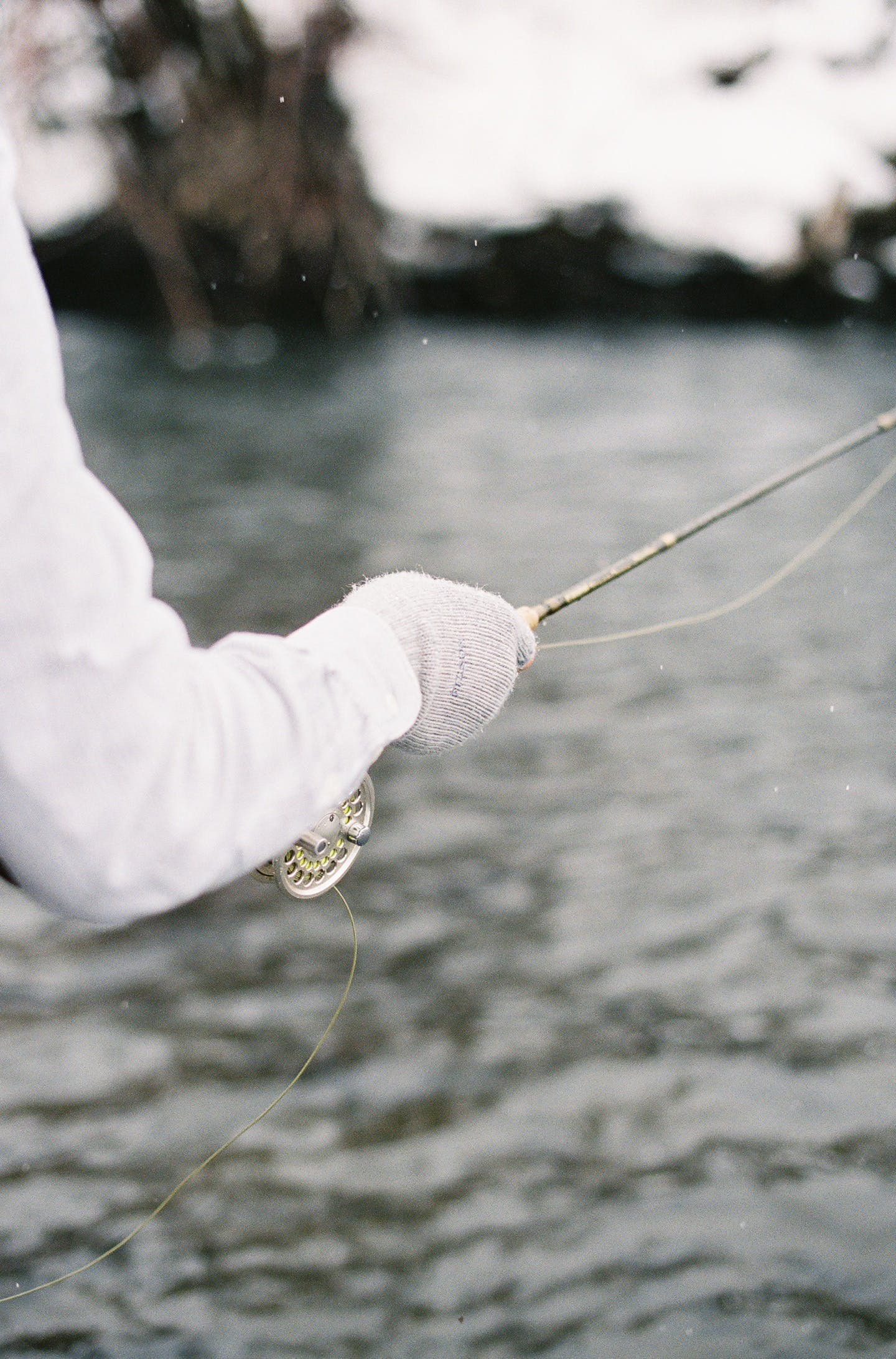 Trout Don't Live in Ugly Places' with Scott and Ashlee O'Malley