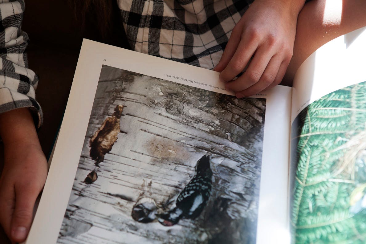 The smell of rose leaves in spices
