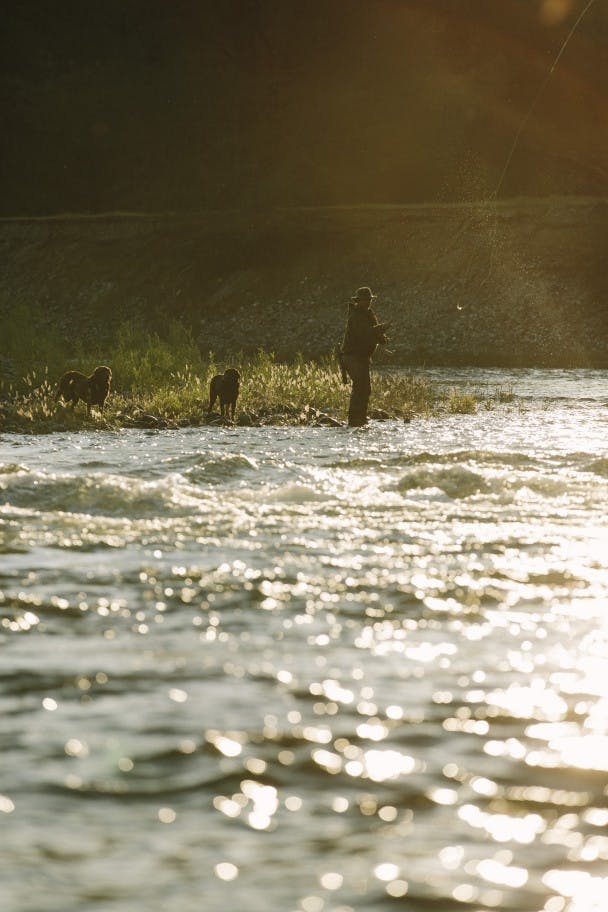 Fly Fishing the Yuba River with Chuck Ragan