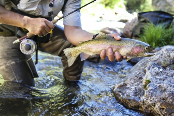 Fly Fishing Lights at Night - Fly Fishing, Gink and Gasoline, How to Fly  Fish, Trout Fishing, Fly Tying