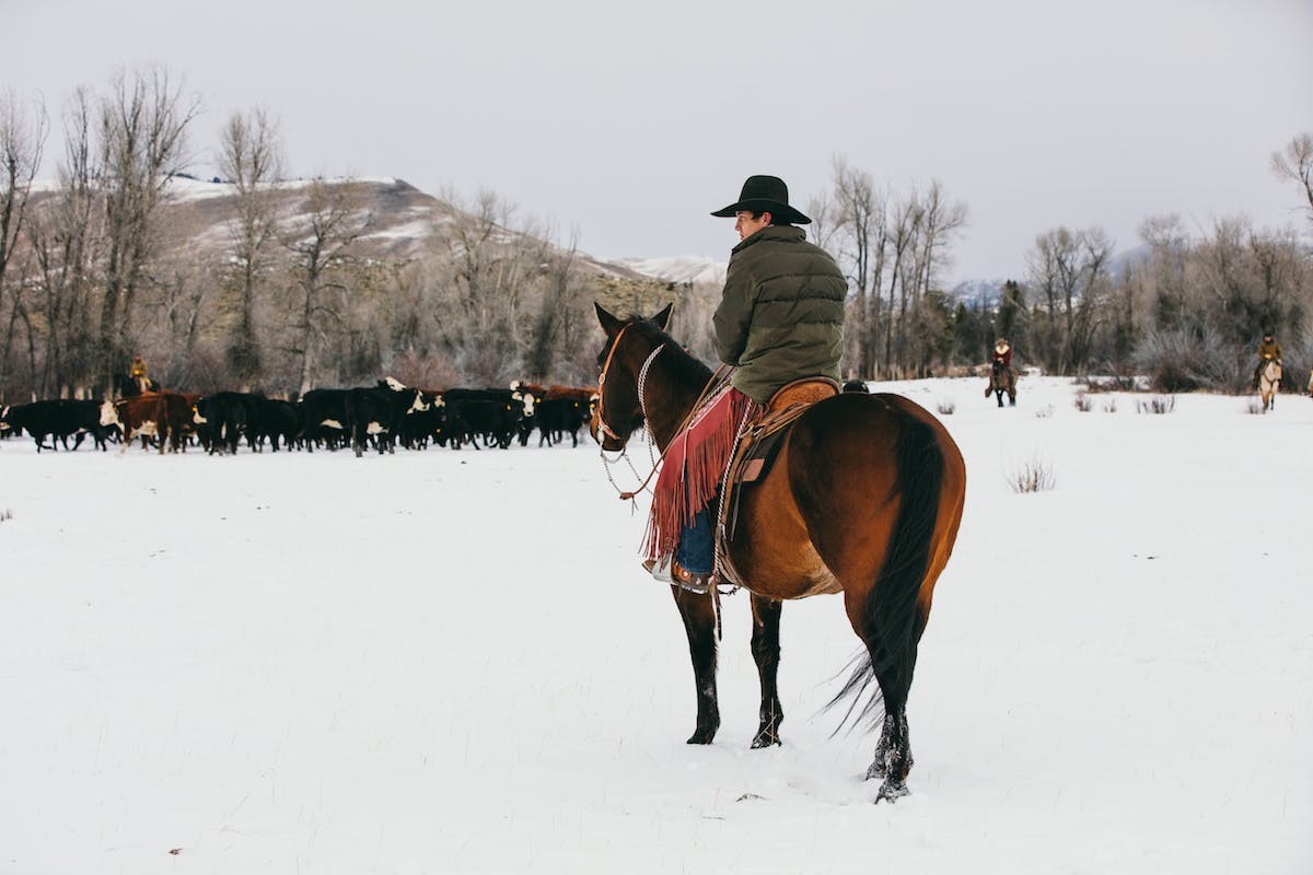 Filson Life - Wyoming Cowboy