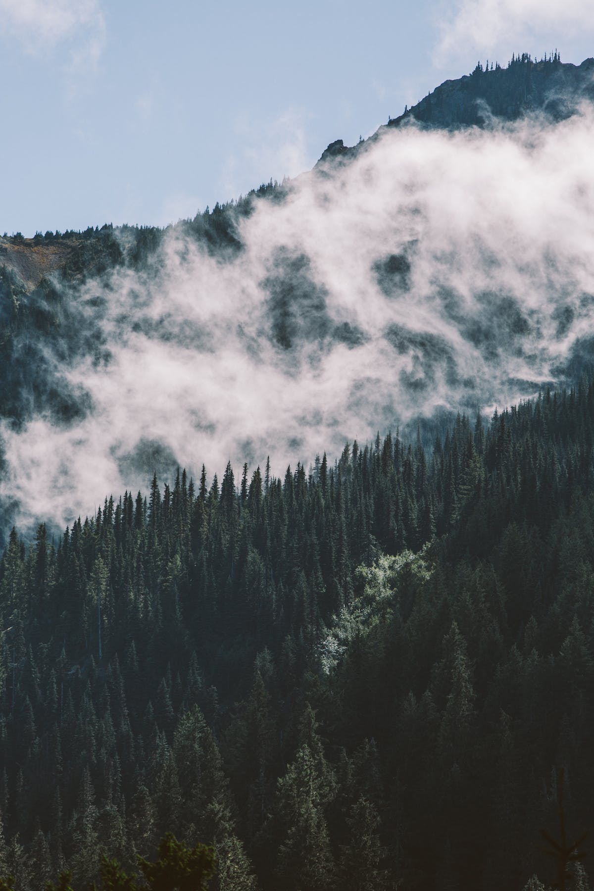 Filson Life - Patrick Colleran hunting in the Olympic National Forest