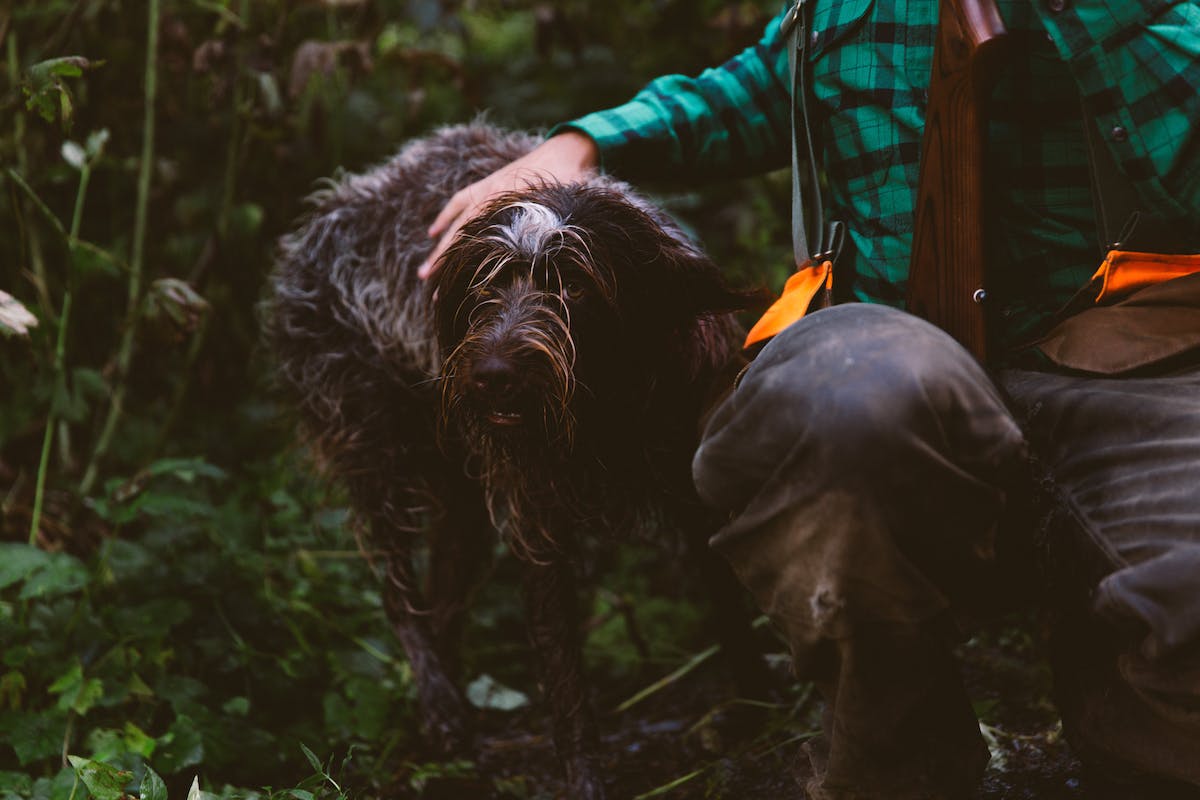 Filson Life - Patrick Colleran hunting in the Olympic National Forest