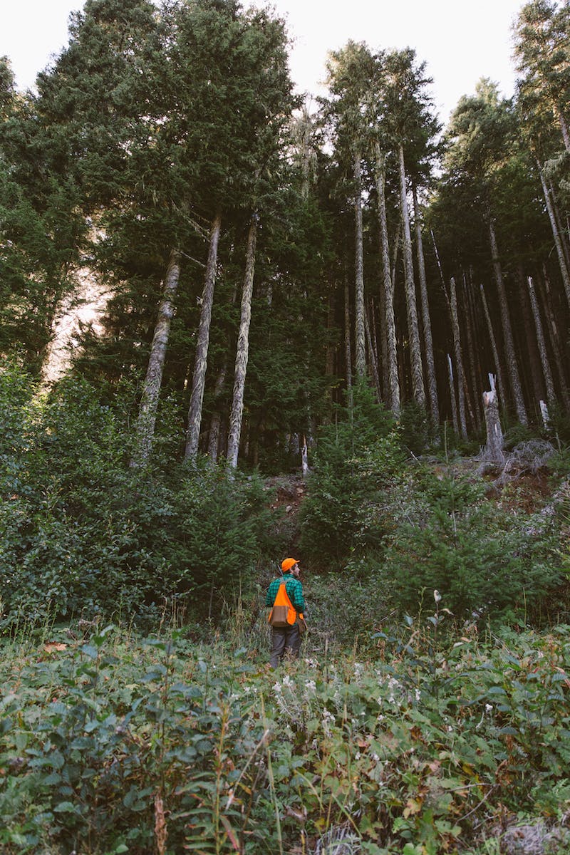 Filson Life - Patrick Colleran hunting in the Olympic National Forest