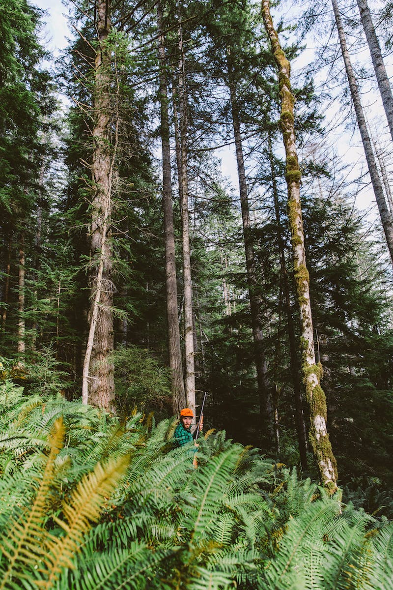Filson Life - Patrick Colleran hunting in the Olympic National Forest