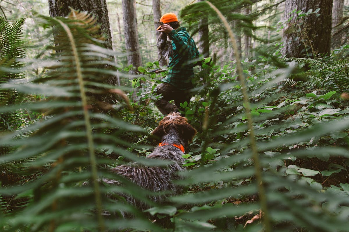 Filson Life - Patrick Colleran hunting in the Olympic National Forest