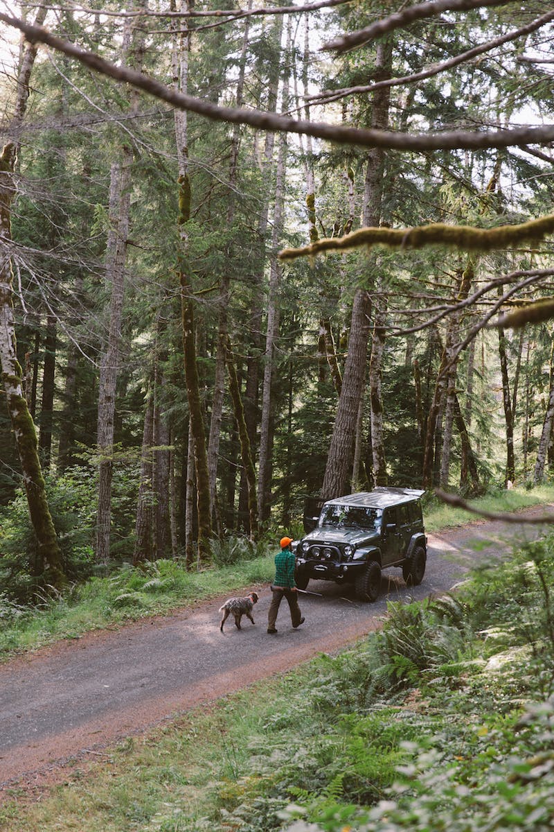 Filson Life - Patrick Colleran hunting in the Olympic National Forest