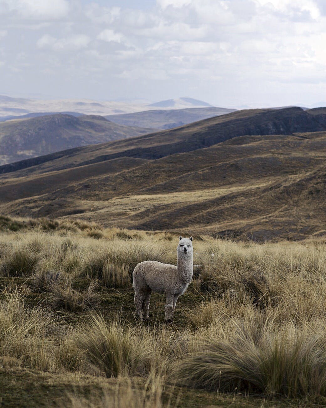 Tanner Wendell - Travel Photography for Filson