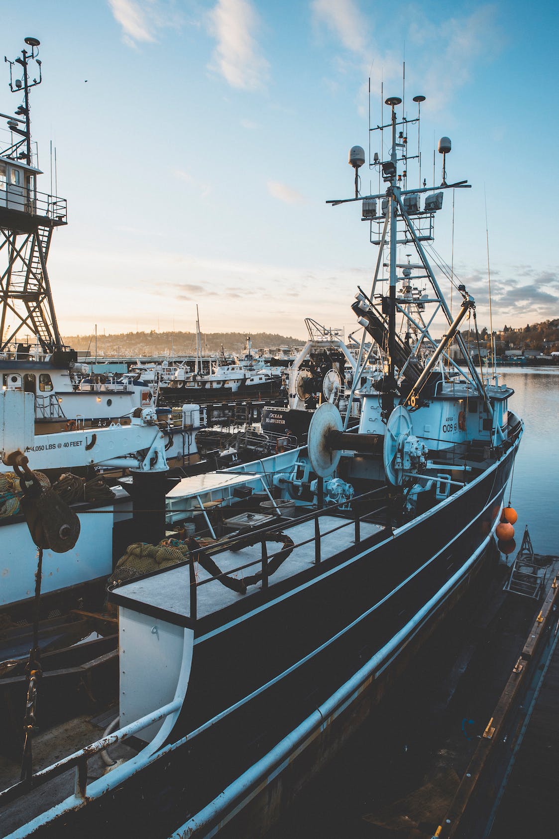 Multiple fishing boats docked in Salmon Bay, WA.