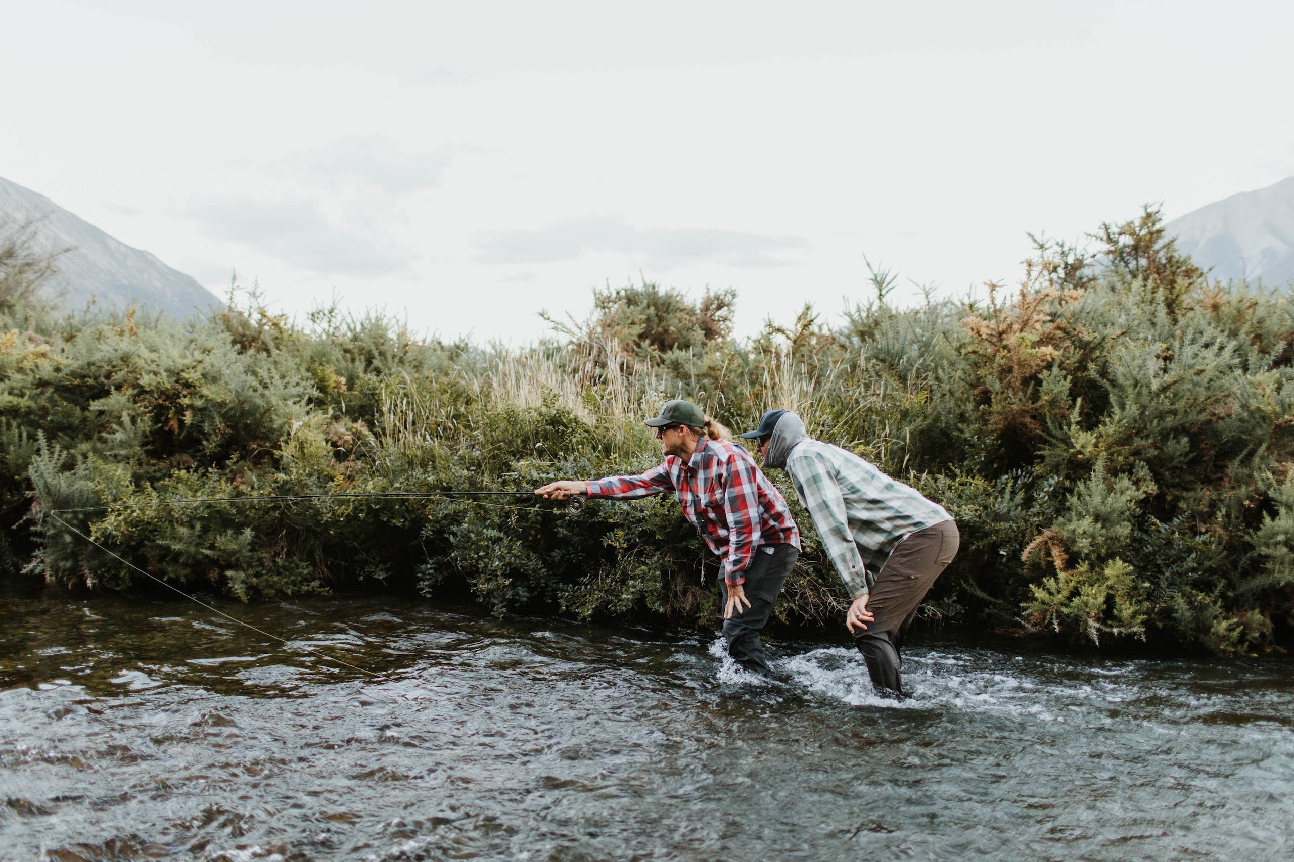 Brown Trout of New Zealand | The Filson Journal