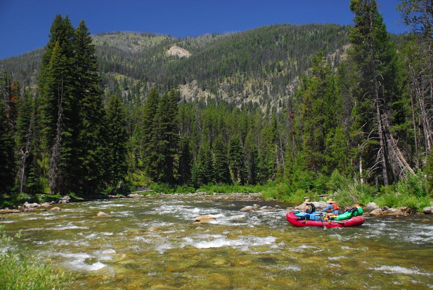 whitewater rafting