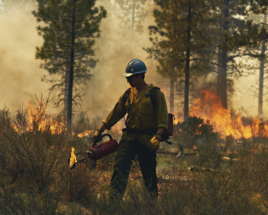 Man with flamethrower creating fire-line with flames in background in forest