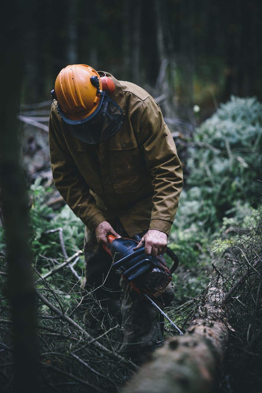 Neill cutting timber