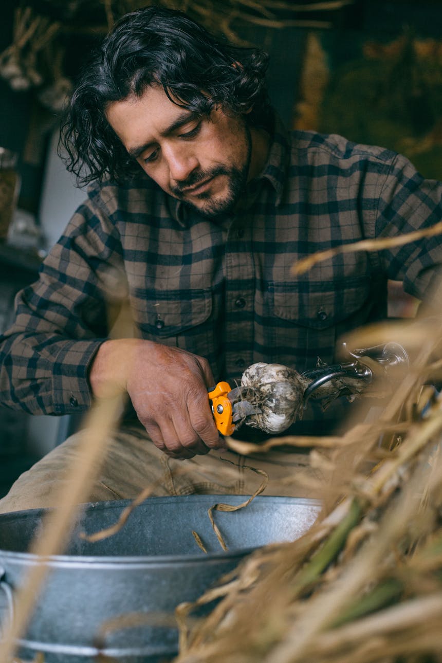 man cleaning produce over aluminum bucket