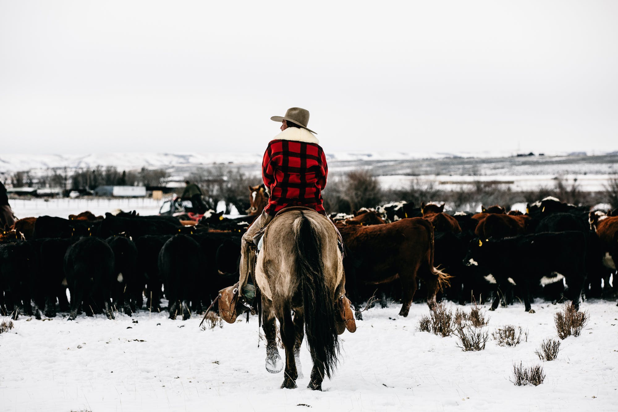 Filson Life - Wyoming Cowboy