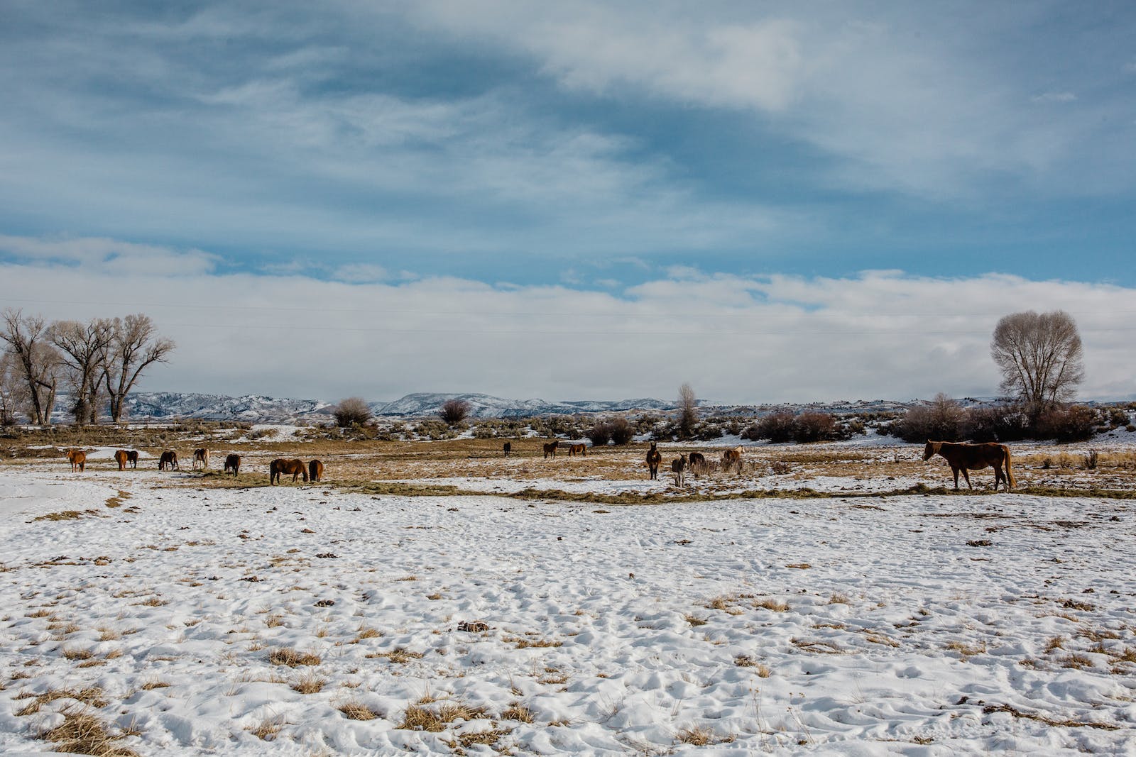 Filson Life - Winter in Wyoming