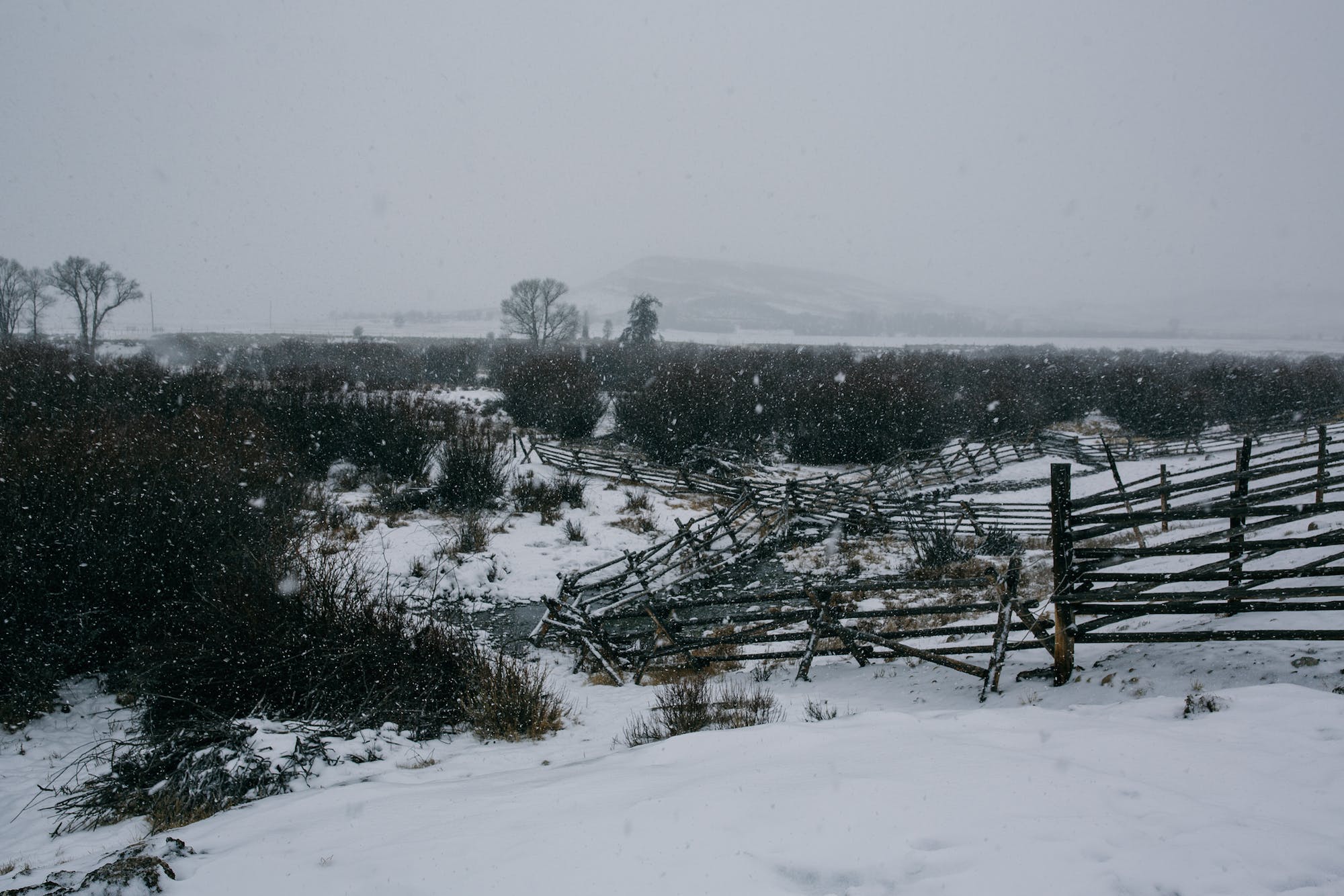 Filson Life - Winter in Wyoming