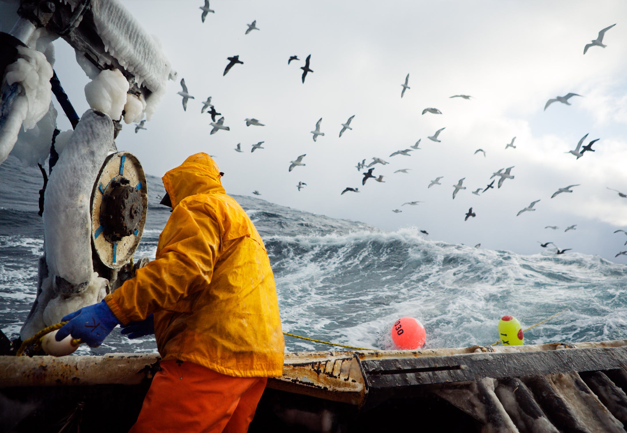 Commercial Fishing: How Fish Get From the High Seas to Your