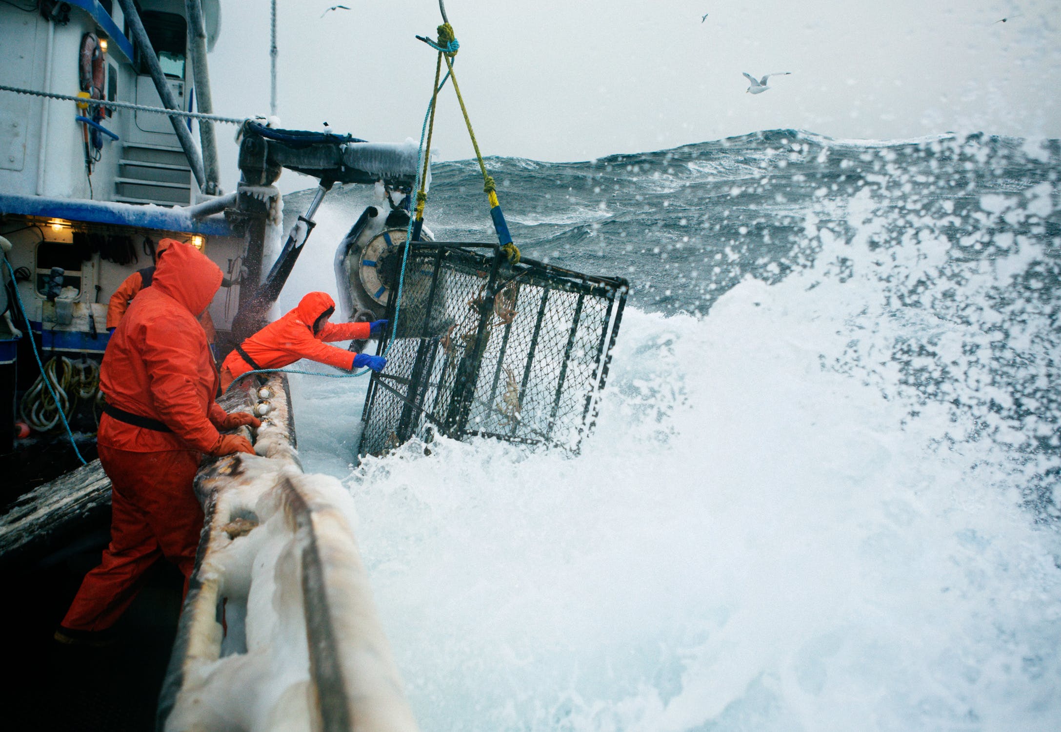 Hornsund Ice Flow - Corey Arnold - Photographer