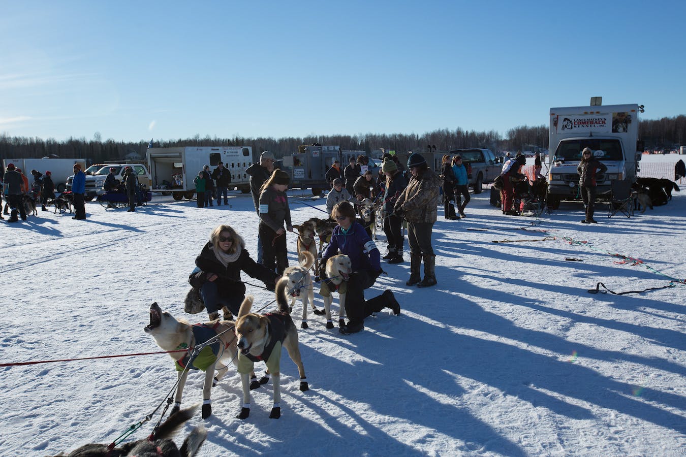 Iditarod Photos and Images & Pictures