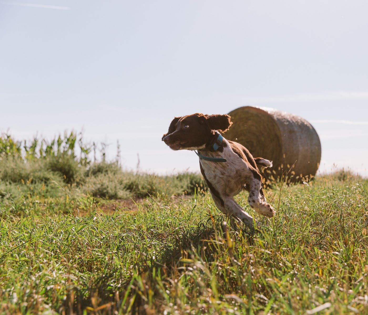 Filson Life - Hunting with Tom Brokaw