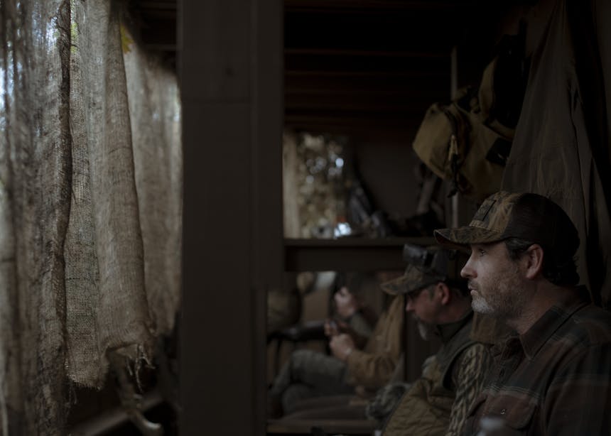inside the blind