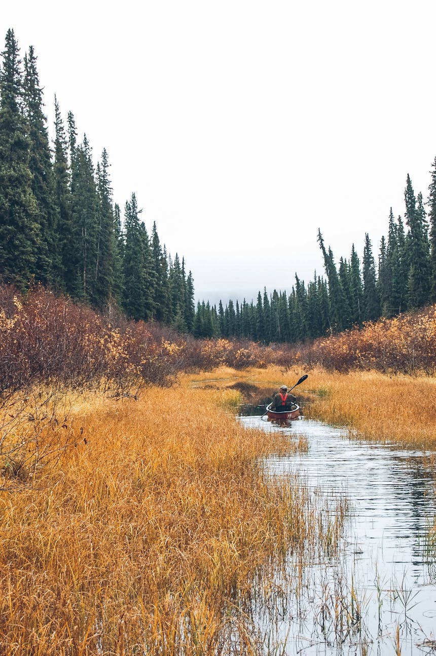 man paddling a canoe