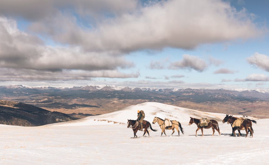 jessie with horse line riding through snowy plain