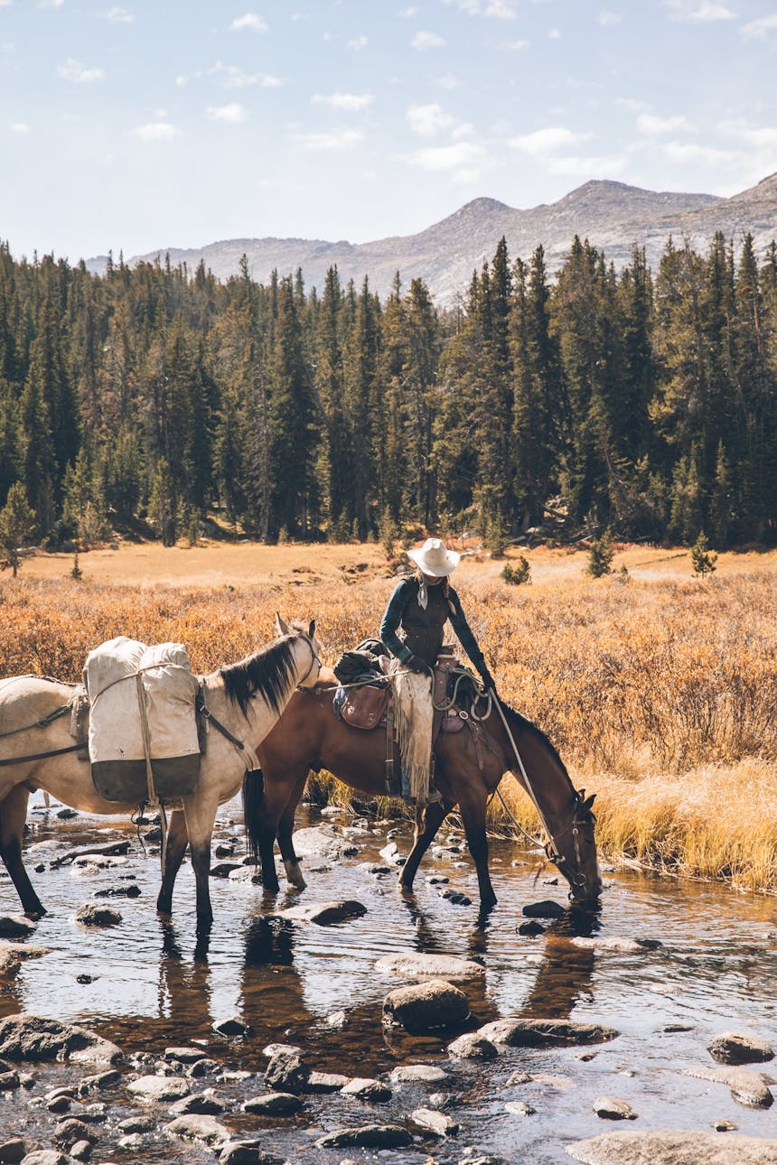 jessie with horses 