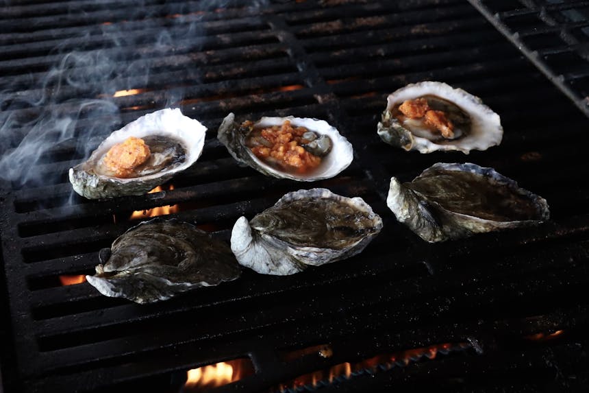 oysters on the grill