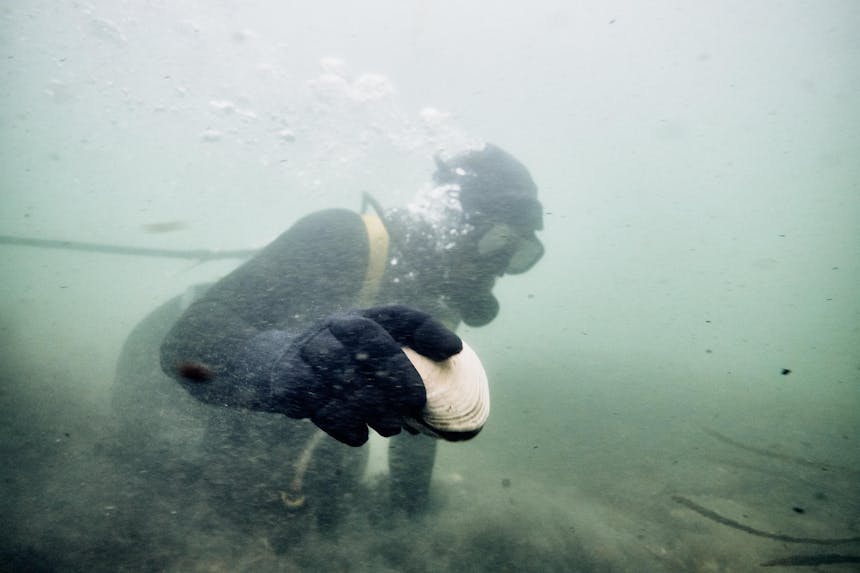 pat diving for clams