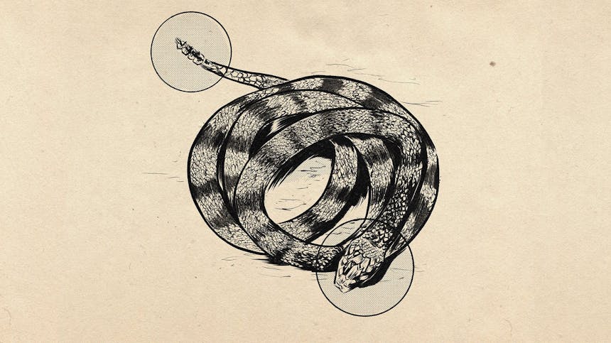 drawing of rattlesnake