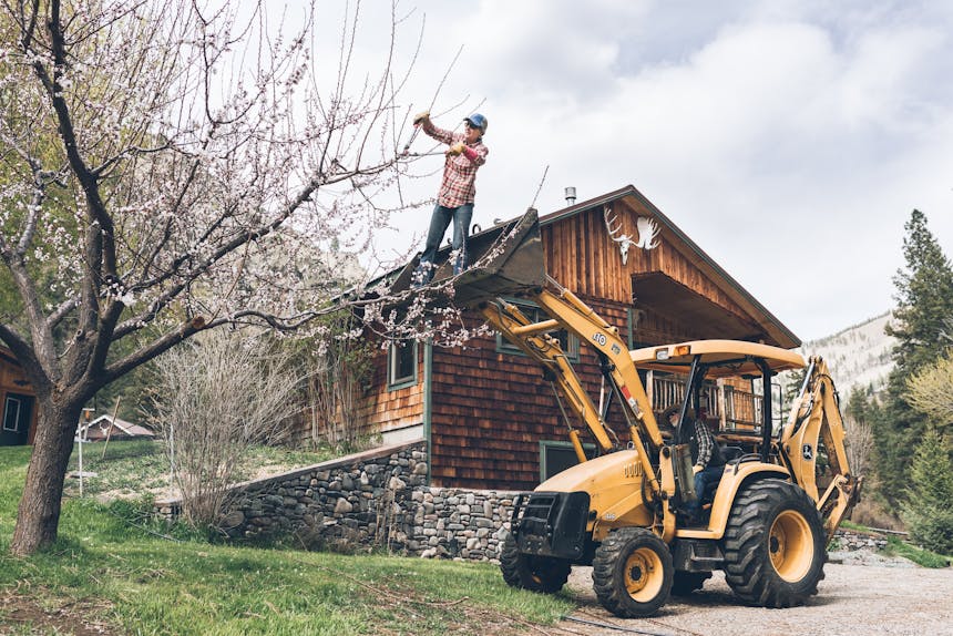 Terry in a front end loader trimming an apricot tree
