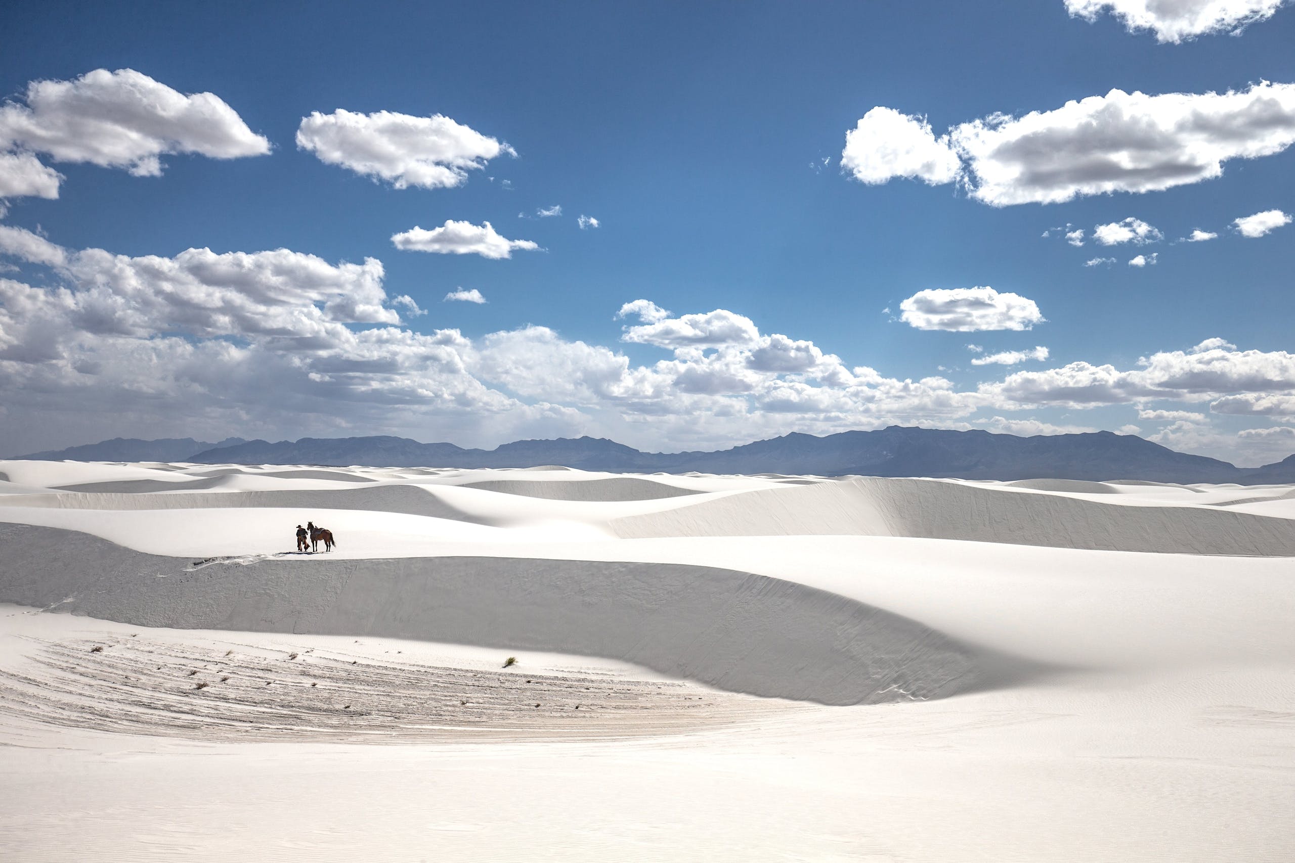 horse and man on sand dunes in distance